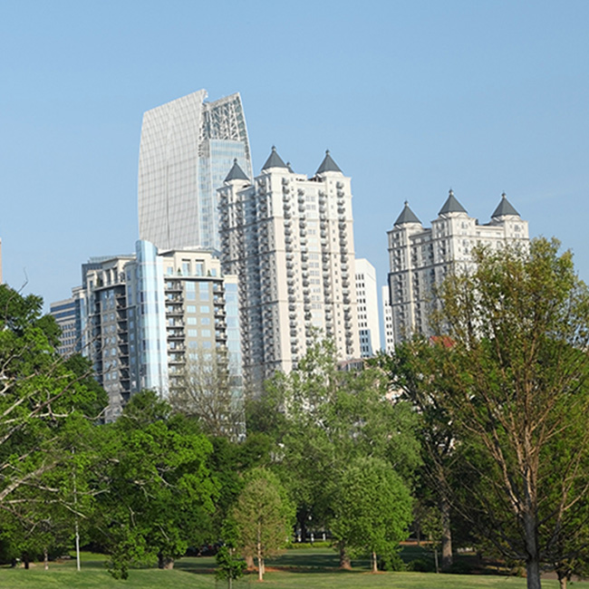 Georgia Chapter webcast